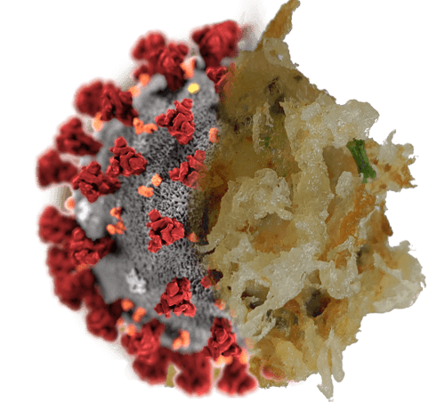 Halloween-sushi: Den 'farlig' gode varianten du kommer til å elske!