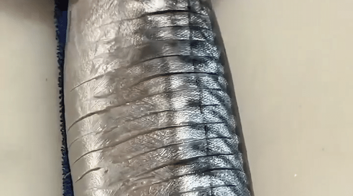 Nyt tradisjonen: En skjult, deilig perle – Saba Bo Sushi